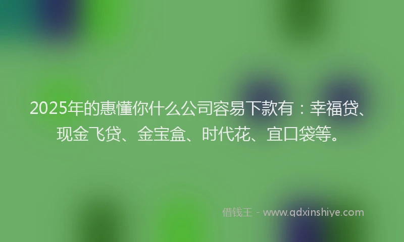 2025年的惠懂你什么公司容易下款有：幸福贷、现金飞贷、金宝盒、时代花、宜口袋等。