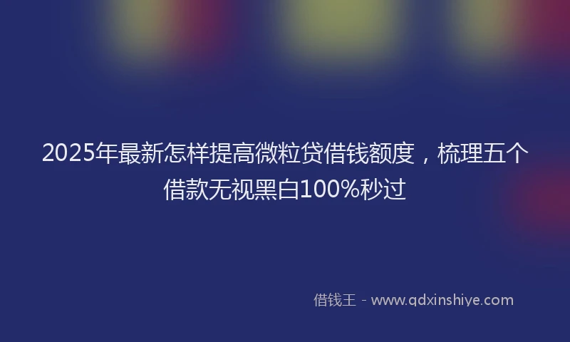 2025年最新怎样提高微粒贷借钱额度，梳理五个借款无视黑白100%秒过
