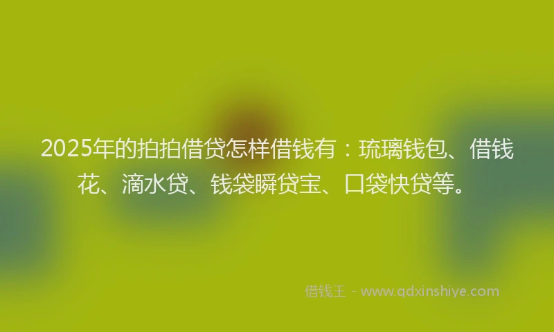 2025年的拍拍借贷怎样借钱有：琉璃钱包、借钱花、滴水贷、钱袋瞬贷宝、口袋快贷等。