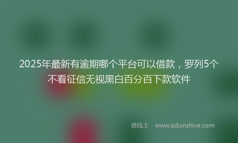 2025年最新有逾期哪个平台可以借款，罗列5个不看征信无视黑白百分百下款软件
