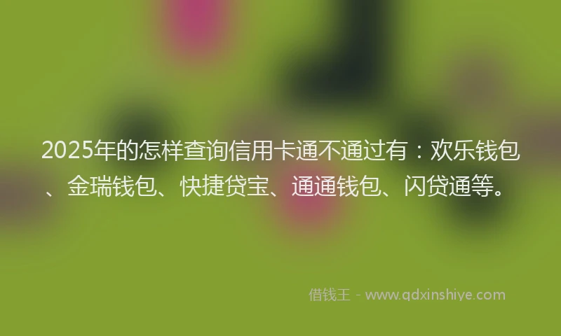 2025年的怎样查询信用卡通不通过有：欢乐钱包、金瑞钱包、快捷贷宝、通通钱包、闪贷通等。