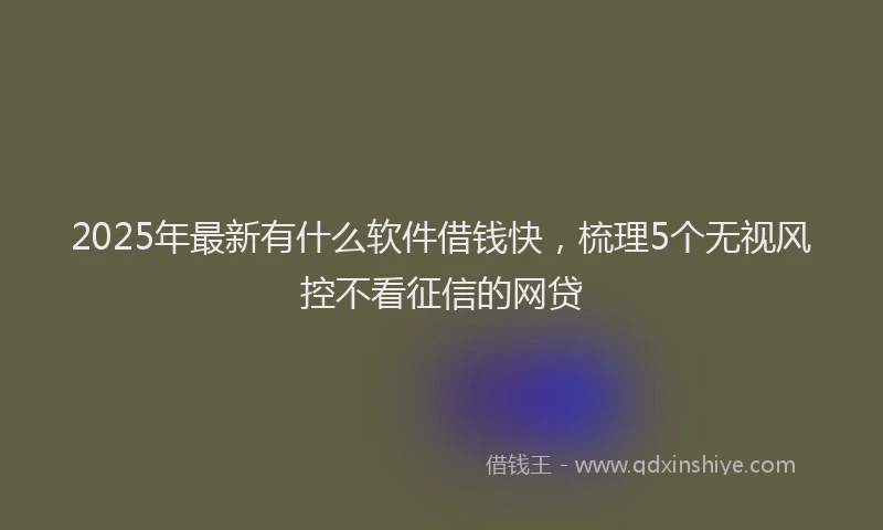2025年最新有什么软件借钱快，梳理5个无视风控不看征信的网贷