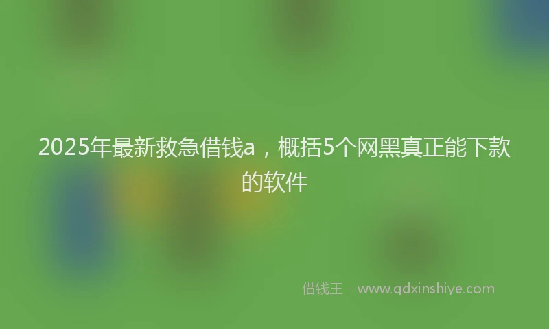2025年最新救急借钱a，概括5个网黑真正能下款的软件