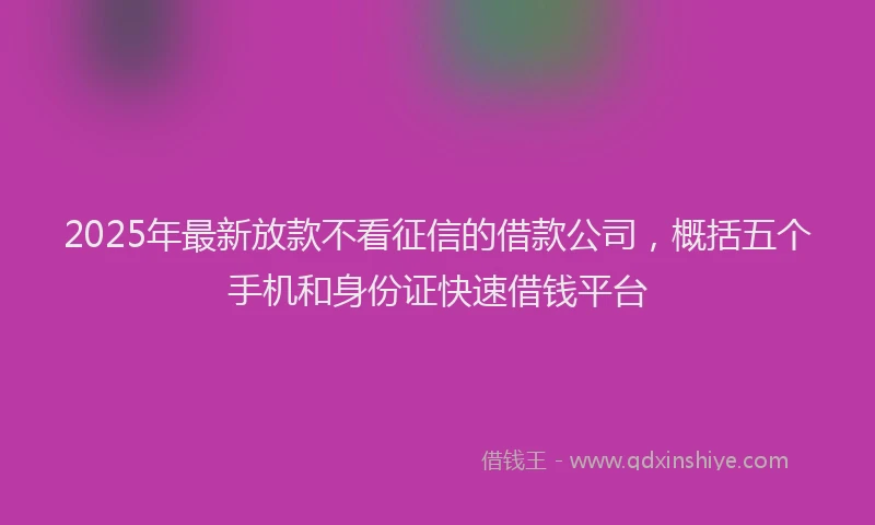 2025年最新放款不看征信的借款公司，概括五个手机和身份证快速借钱平台