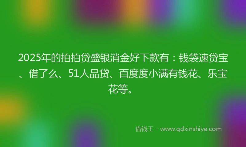 2025年的拍拍贷盛银消金好下款有：钱袋速贷宝、借了么、51人品贷、百度度小满有钱花、乐宝花等。