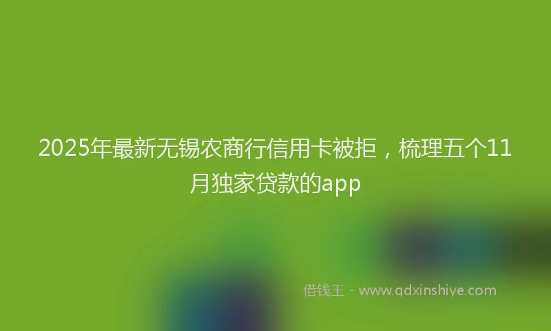 2025年最新无锡农商行信用卡被拒,梳理五个11月独家贷款的app