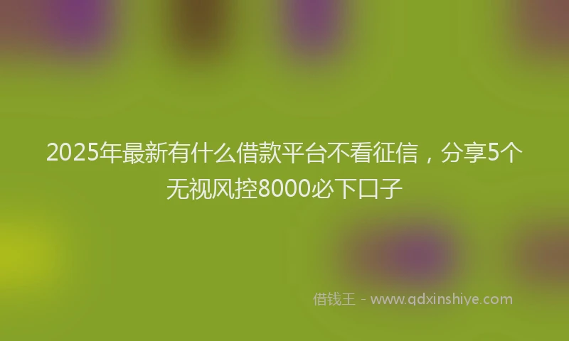 2025年最新有什么借款平台不看征信，分享5个无视风控8000必下口子