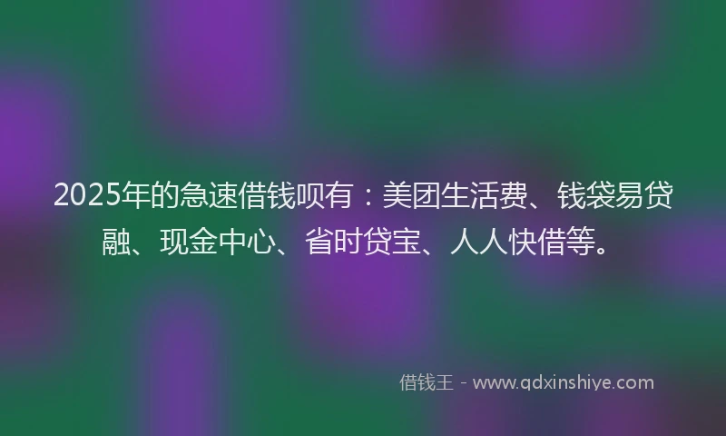 2025年的急速借钱呗有：美团生活费、钱袋易贷融、现金中心、省时贷宝、人人快借等。