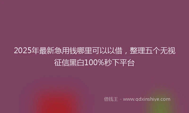 2025年最新急用钱哪里可以以借，整理五个无视征信黑白100%秒下平台