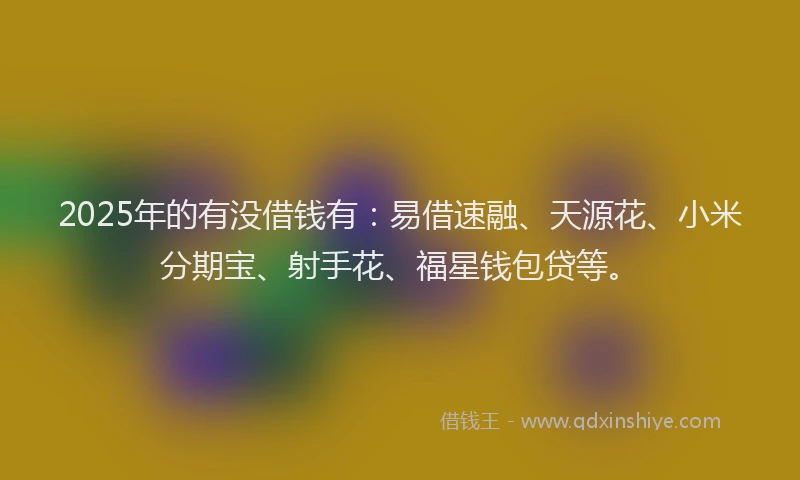 2025年的有没借钱有：易借速融、天源花、小米分期宝、射手花、福星钱包贷等。