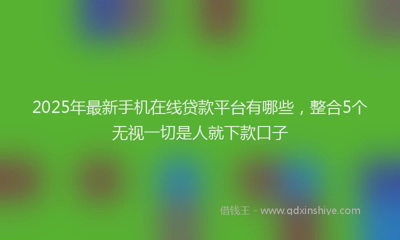 2025年最新手机在线贷款平台有哪些，整合5个无视一切是人就下款口子