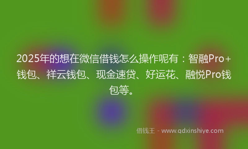 2025年的想在微信借钱怎么操作呢有：智融Pro+钱包、祥云钱包、现金速贷、好运花、融悦Pro钱包等。