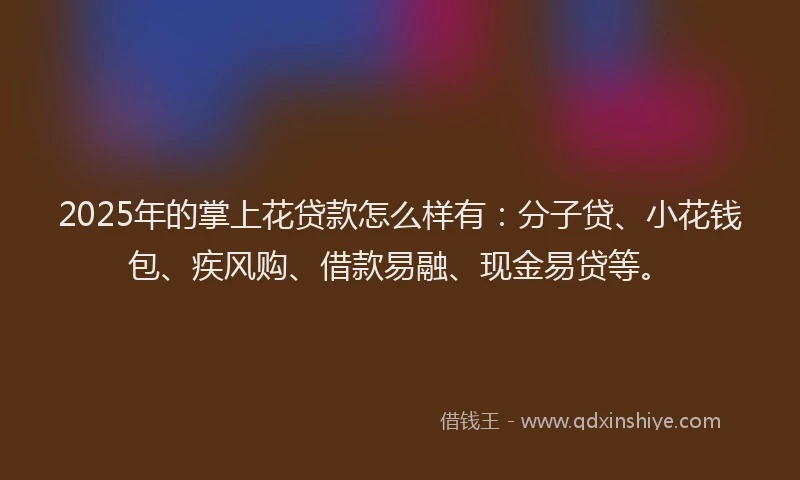 2025年的掌上花贷款怎么样有：分子贷、小花钱包、疾风购、借款易融、现金易贷等。
