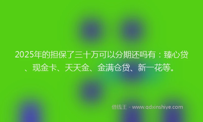 2025年的担保了三十万可以分期还吗有：臻心贷、现金卡、天天金、金满仓贷、新一花等。