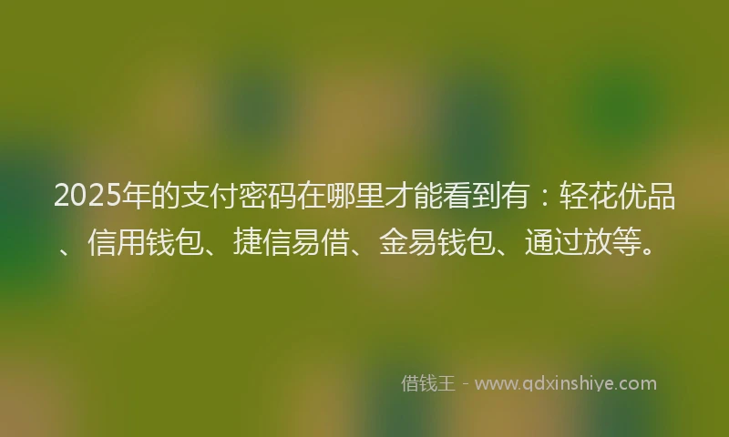 2025年的支付密码在哪里才能看到有：轻花优品、信用钱包、捷信易借、金易钱包、通过放等。