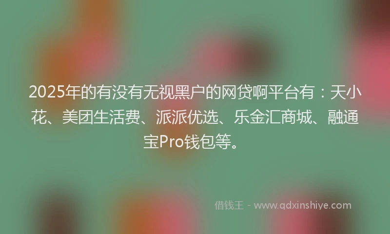 2025年的有没有无视黑户的网贷啊平台有：天小花、美团生活费、派派优选、乐金汇商城、融通宝Pro钱包等。