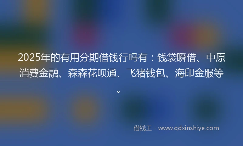 2025年的有用分期借钱行吗有：钱袋瞬借、中原消费金融、森森花呗通、飞猪钱包、海印金服等。
