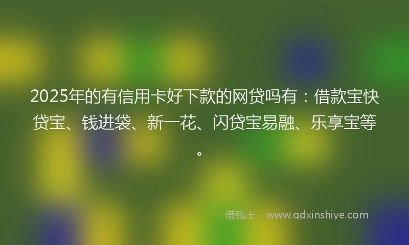 2025年的有信用卡好下款的网贷吗有：借款宝快贷宝、钱进袋、新一花、闪贷宝易融、乐享宝等。