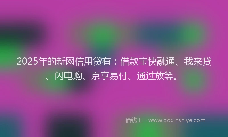 2025年的新网信用贷有：借款宝快融通、我来贷、闪电购、京享易付、通过放等。