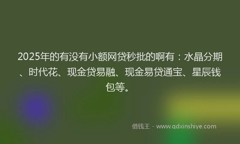 2025年的有没有小额网贷秒批的啊有：水晶分期、时代花、现金贷易融、现金易贷通宝、星辰钱包等。