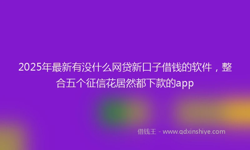 2025年最新有没什么网贷新口子借钱的软件，整合五个征信花居然都下款的app