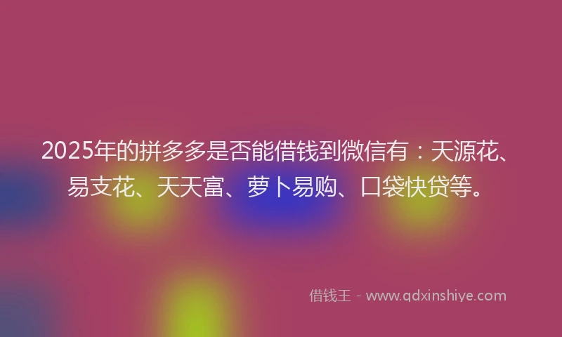2025年的拼多多是否能借钱到微信有：天源花、易支花、天天富、萝卜易购、口袋快贷等。