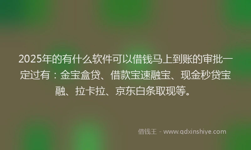 2025年的有什么软件可以借钱马上到账的审批一定过有：金宝盒贷、借款宝速融宝、现金秒贷宝融、拉卡拉、京东白条取现等。