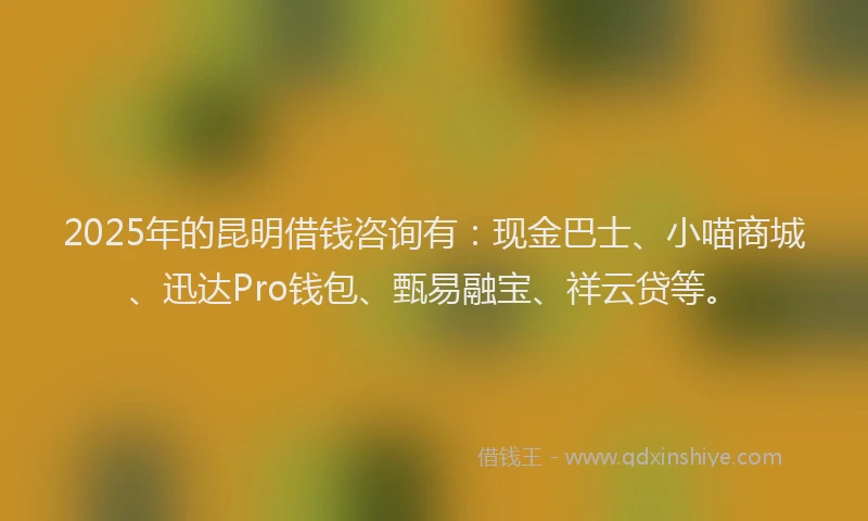 2025年的昆明借钱咨询有：现金巴士、小喵商城、迅达Pro钱包、甄易融宝、祥云贷等。