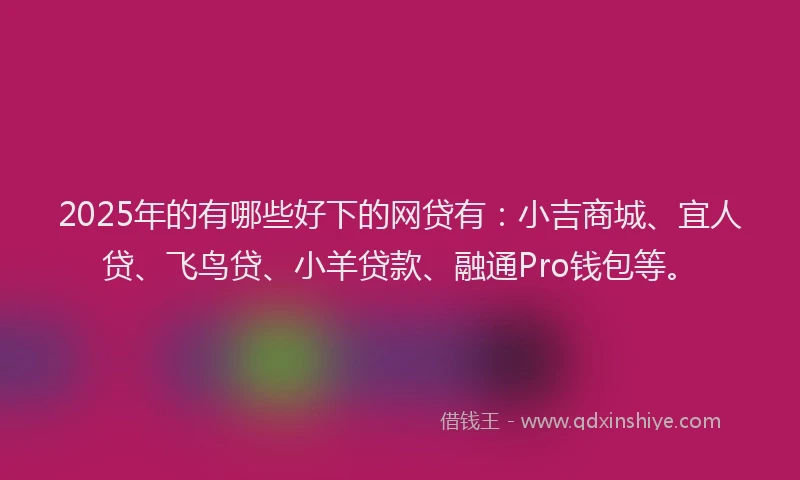 2025年的有哪些好下的网贷有：小吉商城、宜人贷、飞鸟贷、小羊贷款、融通Pro钱包等。