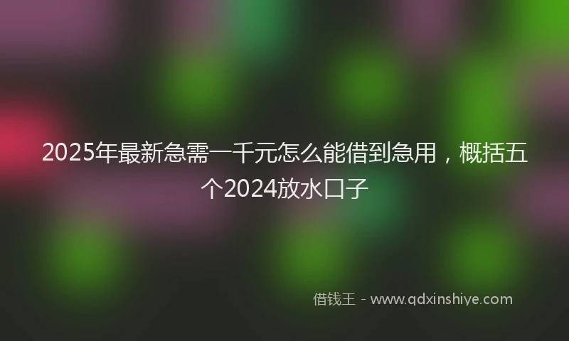 2025年最新急需一千元怎么能借到急用，概括五个2024放水口子