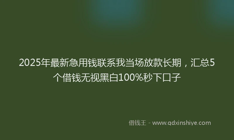 2025年最新急用钱联系我当场放款长期，汇总5个借钱无视黑白100%秒下口子