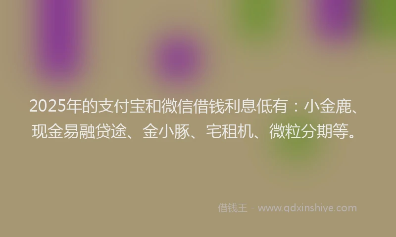 2025年的支付宝和微信借钱利息低有：小金鹿、现金易融贷途、金小豚、宅租机、微粒分期等。
