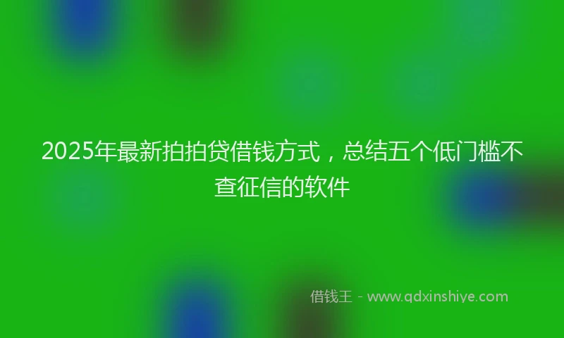 2025年最新拍拍贷借钱方式，总结五个低门槛不查征信的软件