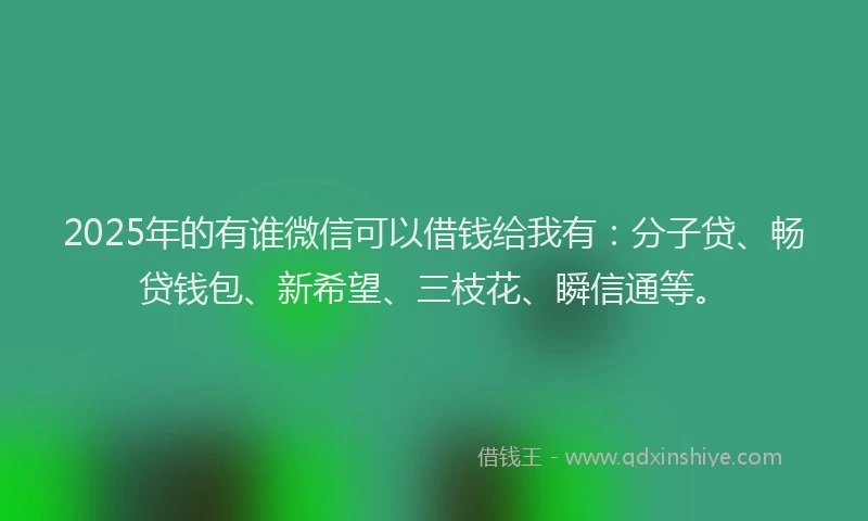2025年的有谁微信可以借钱给我有：分子贷、畅贷钱包、新希望、三枝花、瞬信通等。
