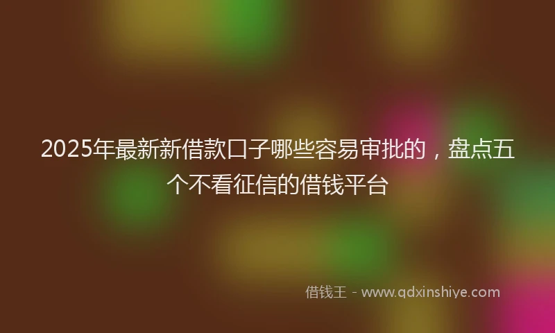 2025年最新新借款口子哪些容易审批的，盘点五个不看征信的借钱平台