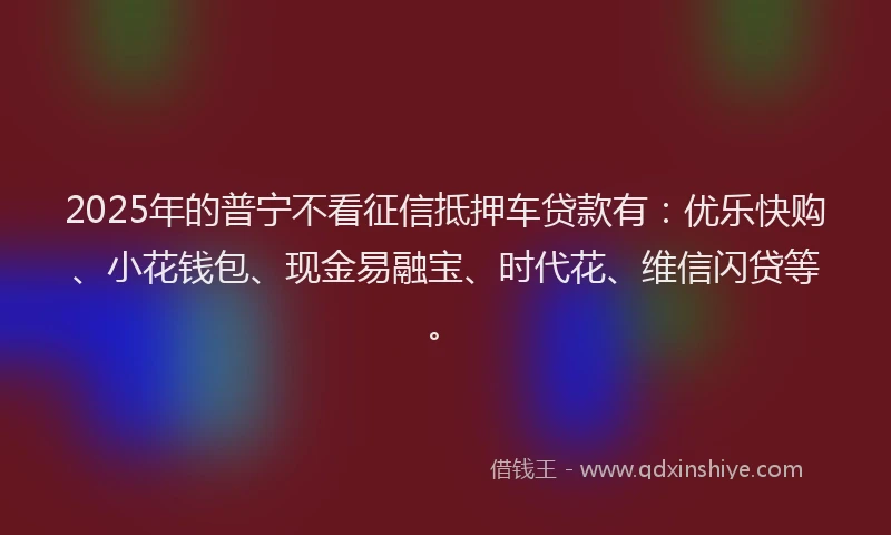 2025年的普宁不看征信抵押车贷款有：优乐快购、小花钱包、现金易融宝、时代花、维信闪贷等。