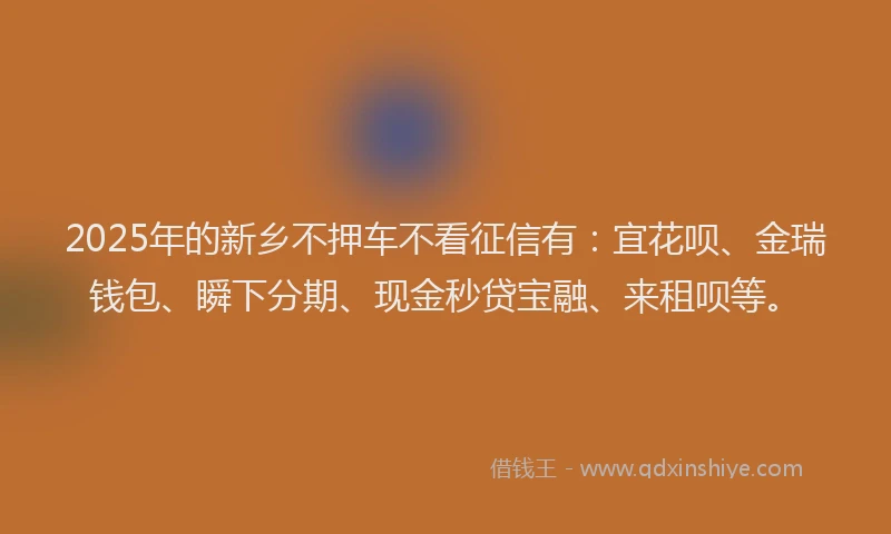 2025年的新乡不押车不看征信有:宜花呗、金瑞钱包、瞬下分期、现金秒贷宝融、来租呗等。