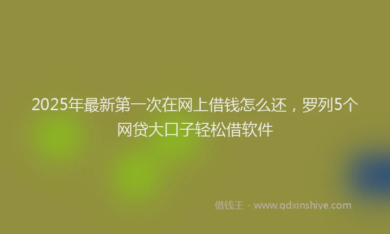 2025年最新第一次在网上借钱怎么还，罗列5个网贷大口子轻松借软件