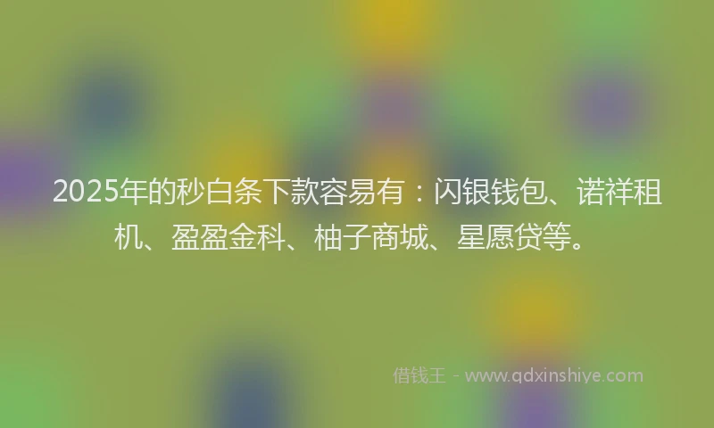 2025年的秒白条下款容易有：闪银钱包、诺祥租机、盈盈金科、柚子商城、星愿贷等。