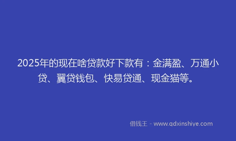 2025年的现在啥贷款好下款有：金满盈、万通小贷、翼贷钱包、快易贷通、现金猫等。