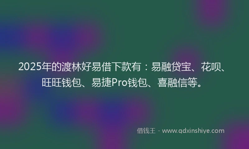 2025年的渡林好易借下款有：易融贷宝、花呗、旺旺钱包、易捷Pro钱包、喜融信等。