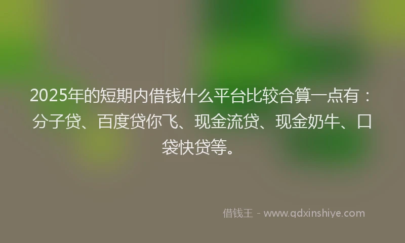 2025年的短期内借钱什么平台比较合算一点有：分子贷、百度贷你飞、现金流贷、现金奶牛、口袋快贷等。