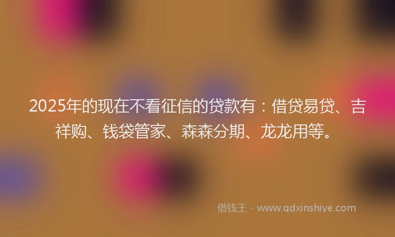 2025年的现在不看征信的贷款有：借贷易贷、吉祥购、钱袋管家、森森分期、龙龙用等。
