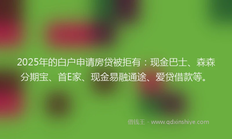 2025年的白户申请房贷被拒有：现金巴士、森森分期宝、首E家、现金易融通途、爱贷借款等。