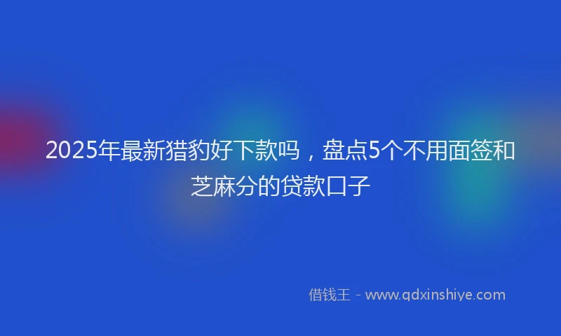 2025年最新猎豹好下款吗，盘点5个不用面签和芝麻分的贷款口子
