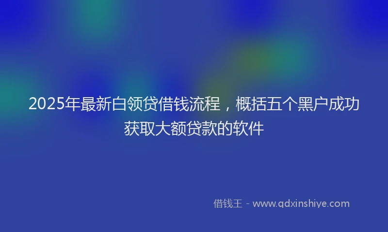 2025年最新白领贷借钱流程，概括五个黑户成功获取大额贷款的软件