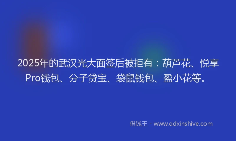 2025年的武汉光大面签后被拒有：葫芦花、悦享Pro钱包、分子贷宝、袋鼠钱包、盈小花等。