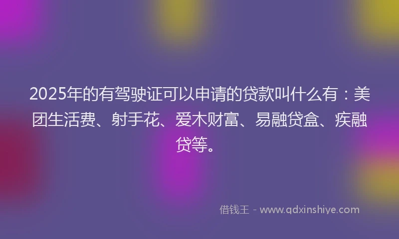 2025年的有驾驶证可以申请的贷款叫什么有：美团生活费、射手花、爱木财富、易融贷盒、疾融贷等。