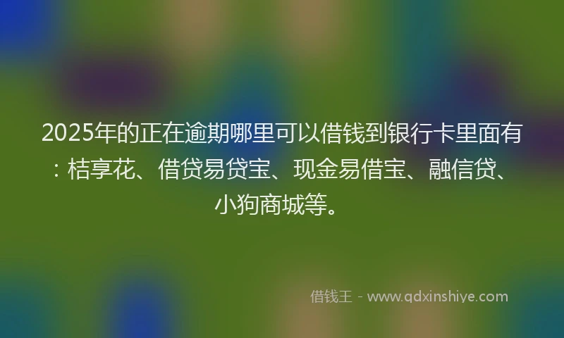 2025年的正在逾期哪里可以借钱到银行卡里面有：桔享花、借贷易贷宝、现金易借宝、融信贷、小狗商城等。
