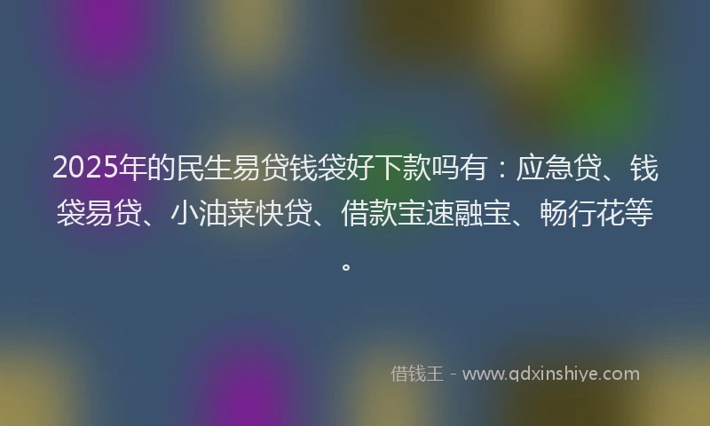 2025年的民生易贷钱袋好下款吗有：应急贷、钱袋易贷、小油菜快贷、借款宝速融宝、畅行花等。
